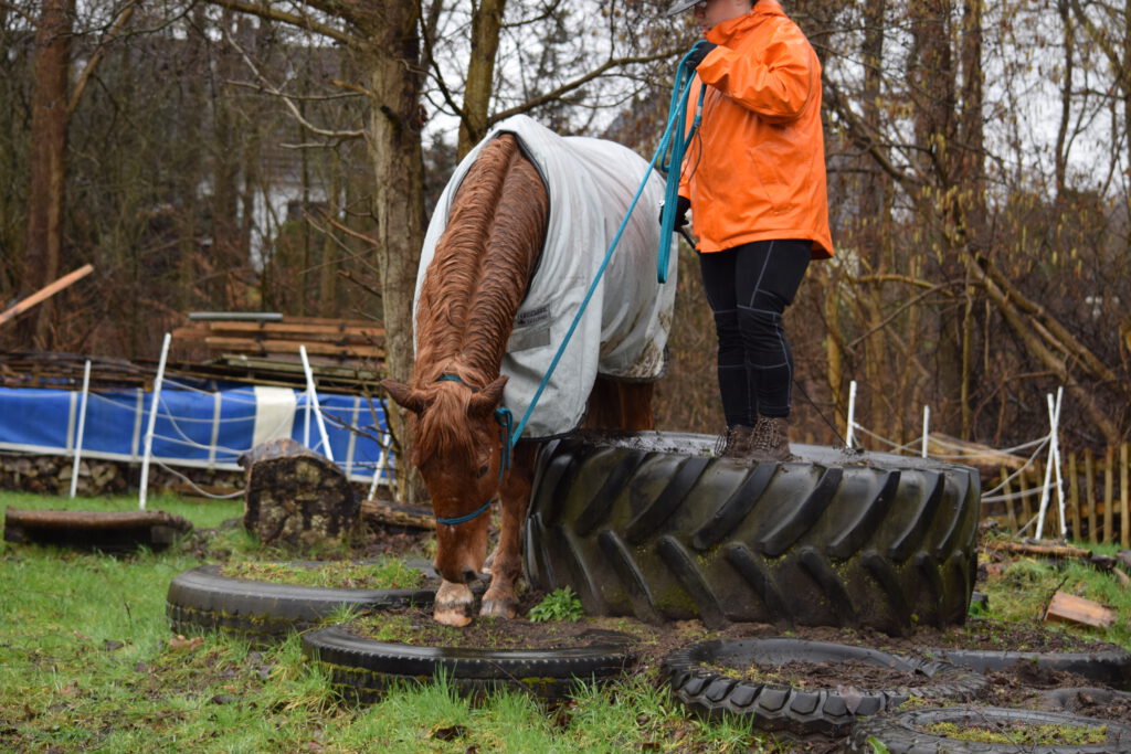 Nemo beim Extreme Trail am Reifen-Berg