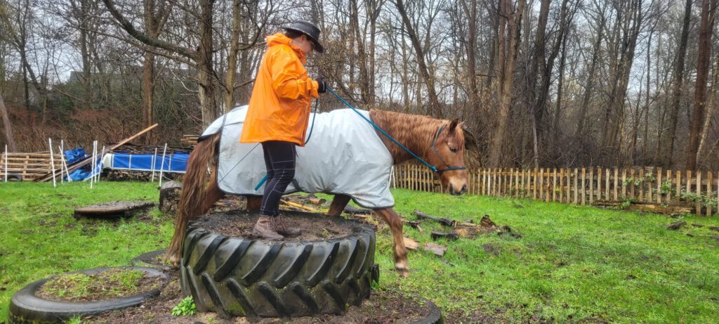 Nemo beim Extreme Trail, Reifen-Hindernis