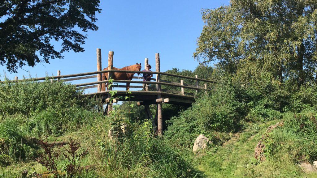 Nemo auf einer großen Brücke beim Extreme Trail