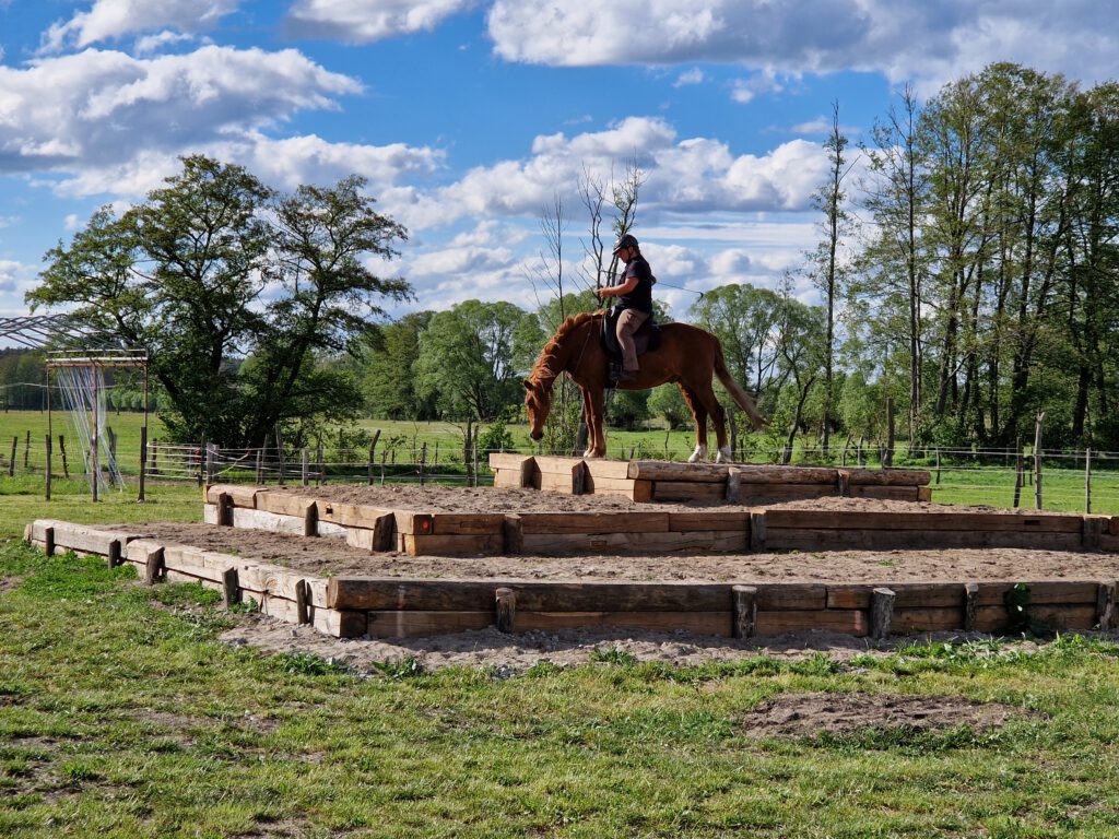 Melanie mit Nemo auf der Pyramide geritten am Halsring, oberste Stufe