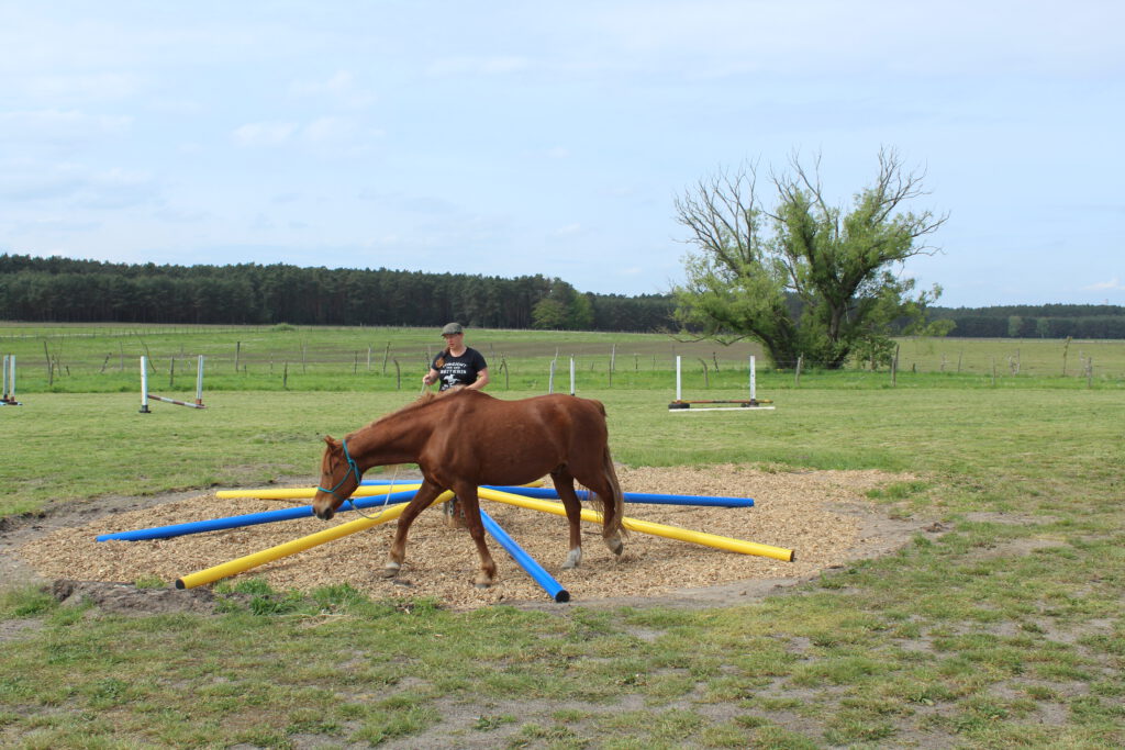 Melanie mit Nemo am Seil im Stangenrondell