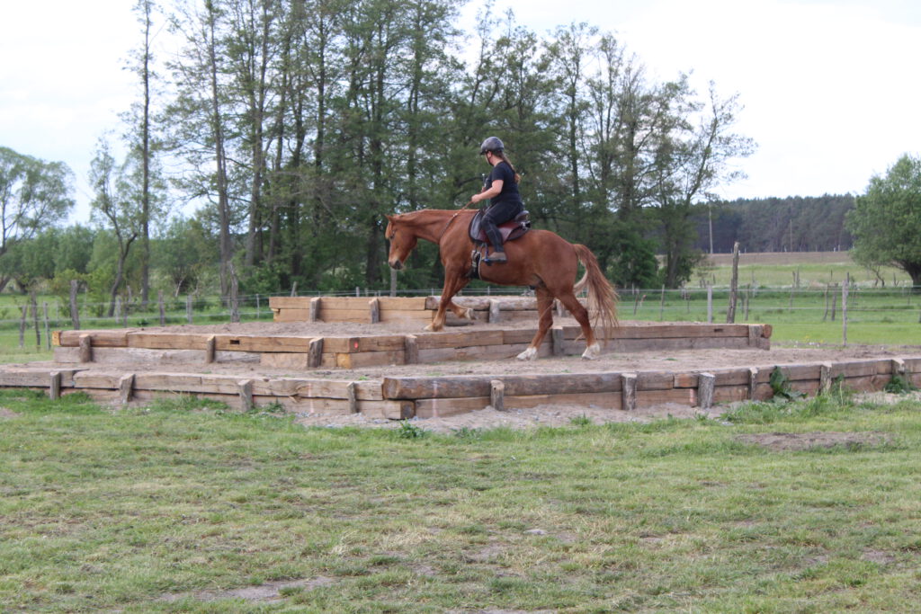 Melanie mit Nemo auf der Pyramide geritten am Halsring, Stufen bergauf