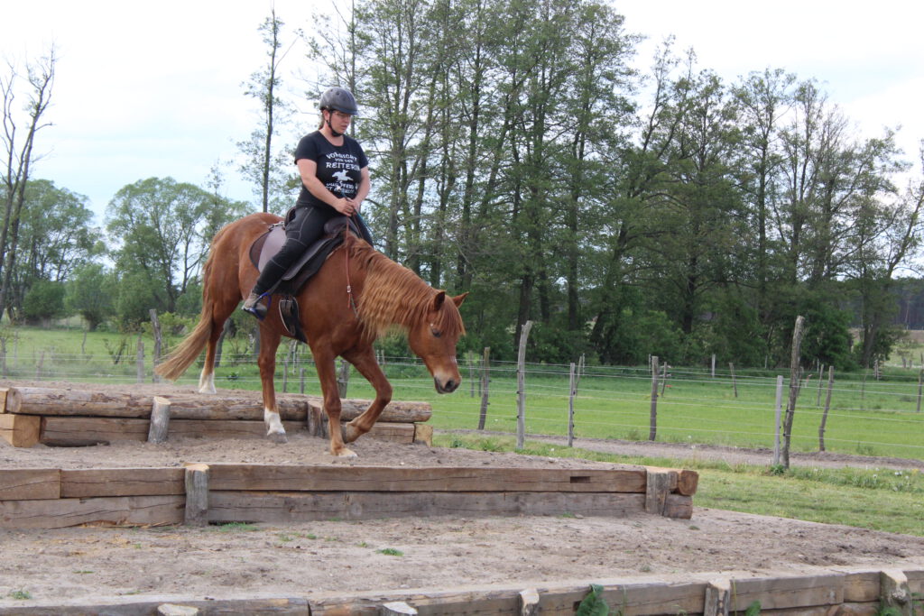 Melanie mit Nemo auf der Pyramide geritten am Halsring, Stufen bergab