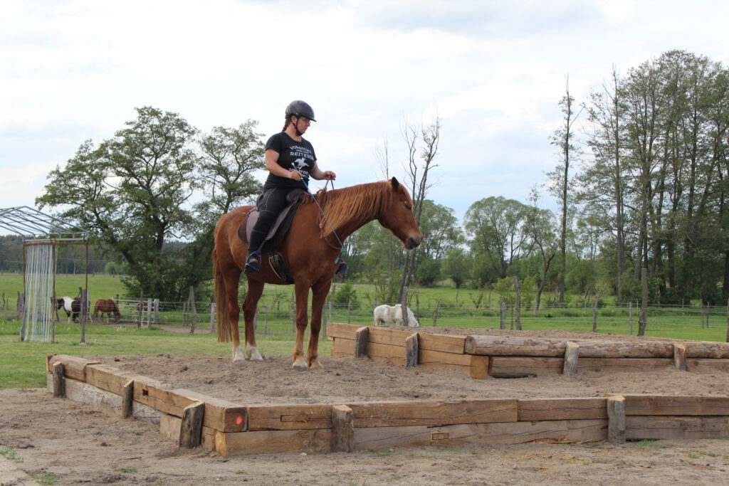 Melanie mit Nemo auf der Pyramide geritten am Halsring, auf einer Ebene stehend