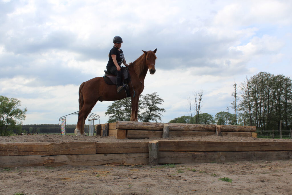 Melanie mit Nemo auf der Pyramide geritten am Halsring, Stop zwischen 2 Stufen