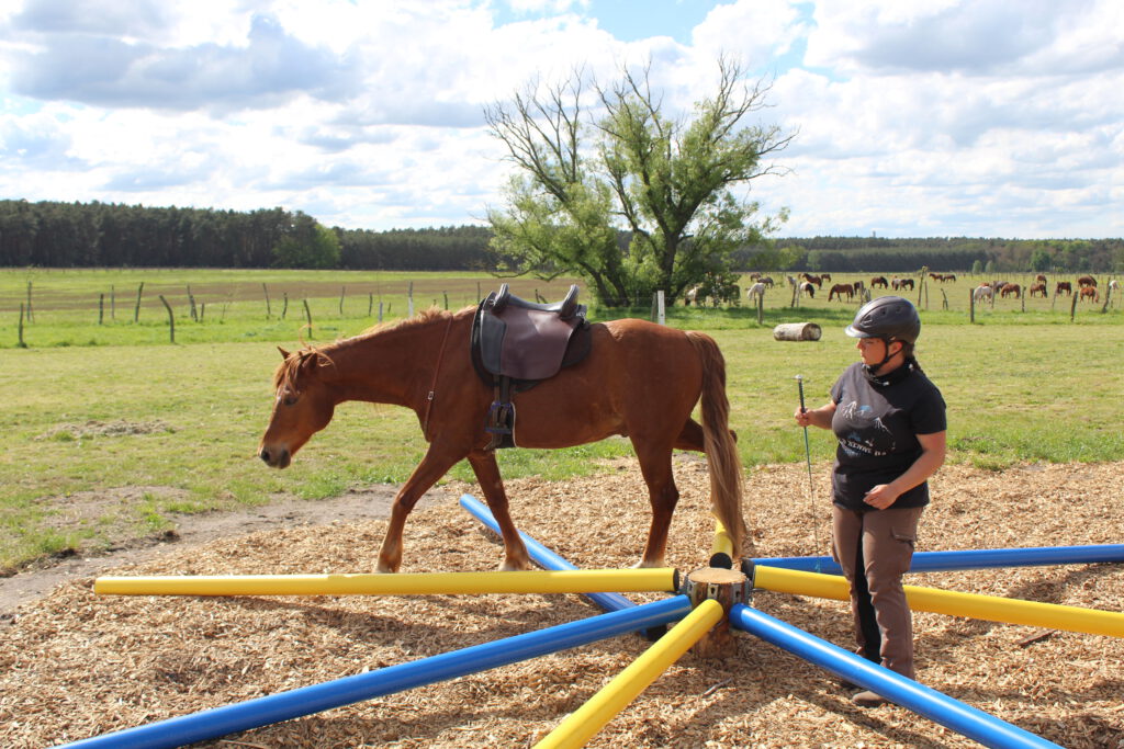 Melanie mit Nemo in der Freiarbeit im Stangen-Rondell