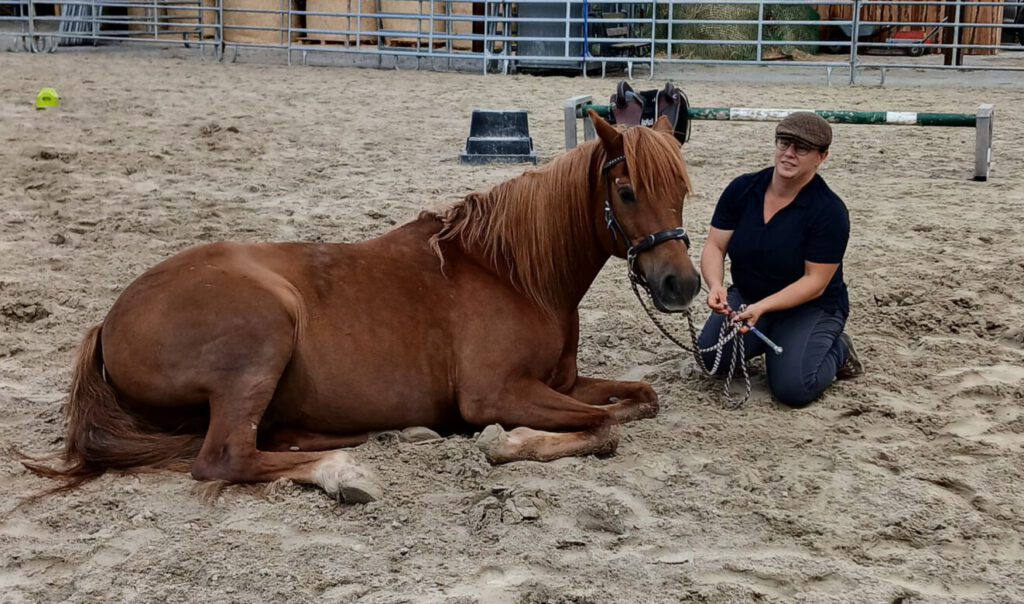 Melanie mit ihrem Pferd Fischi beim Ablegen auf Kommando